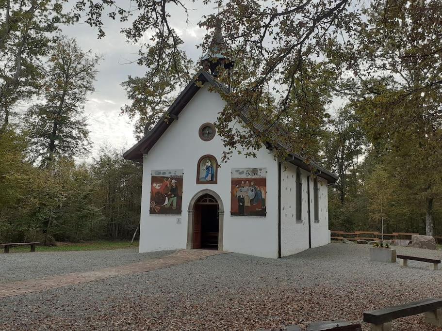 A L'Oree Du Bois "Les Hetres" Guewenheim Exterior foto